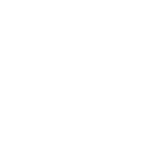 Riznik Electric logo