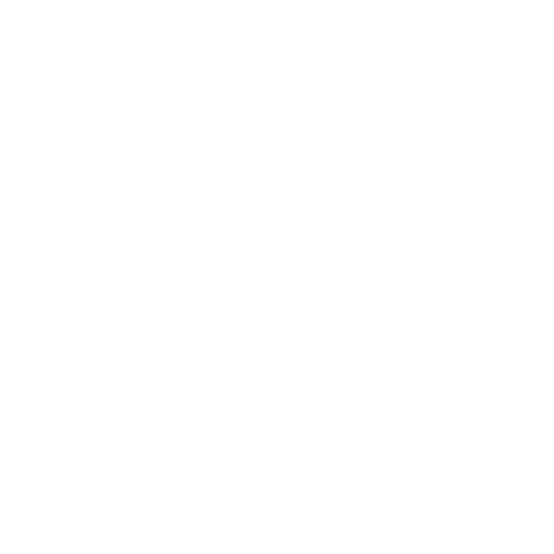 The Whalesbone logo